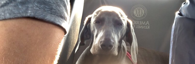 dennie75's profile banner image