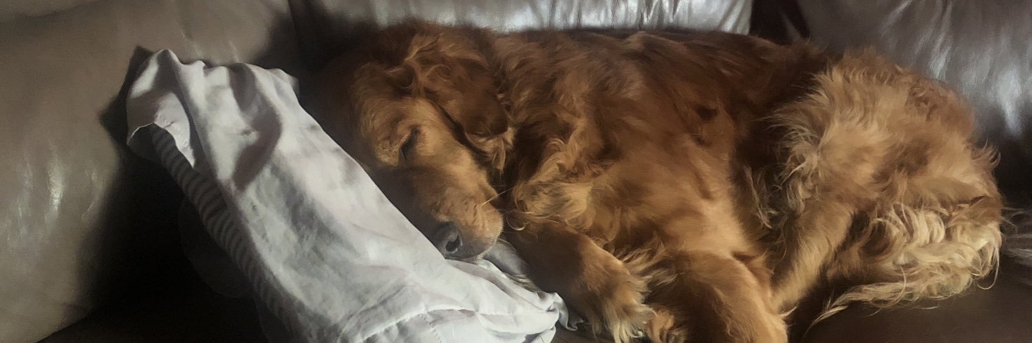 Embraced Edgelord banner