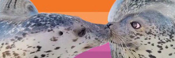 hiyoritheseal Profile Banner
