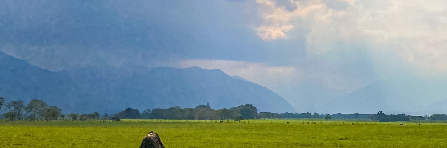 marcelfrivera's profile banner image