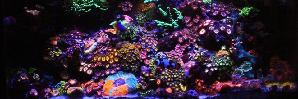 Fletcher S Valentine Jr. banner