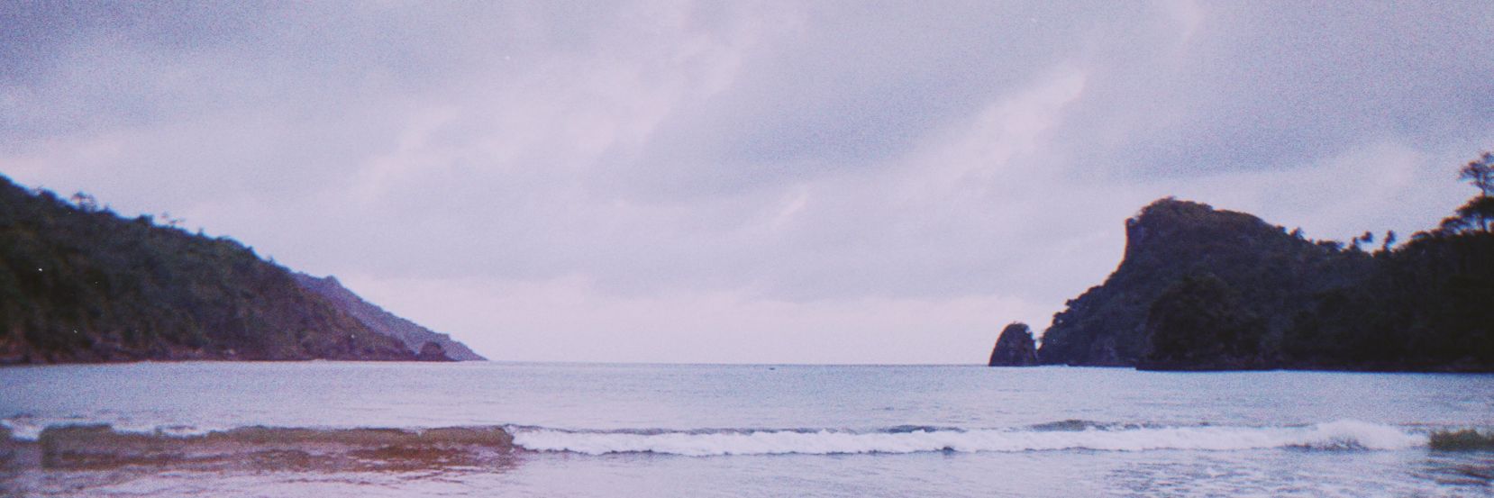 billie ☆ banner