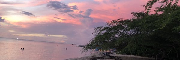 LisaDelay Profile Banner