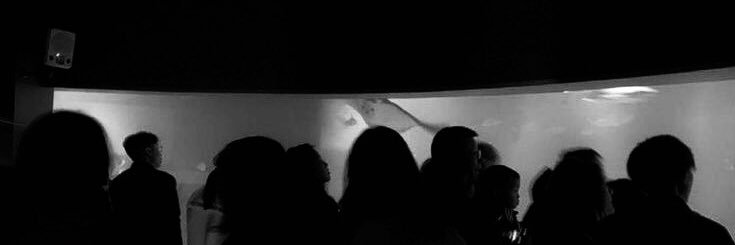 CONRAD LIN-MILLER banner