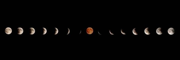 SydneySorrells's profile banner image