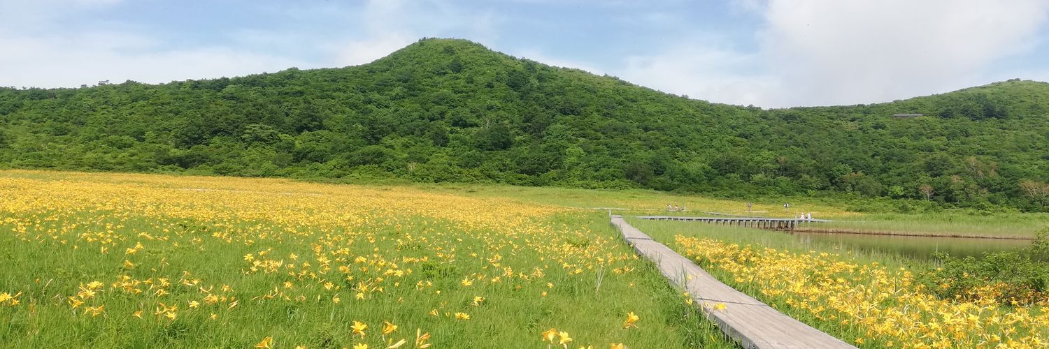 ariesmiya1's profile banner image