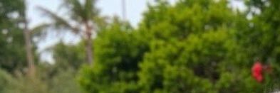 MsLouiseKnight's profile banner image