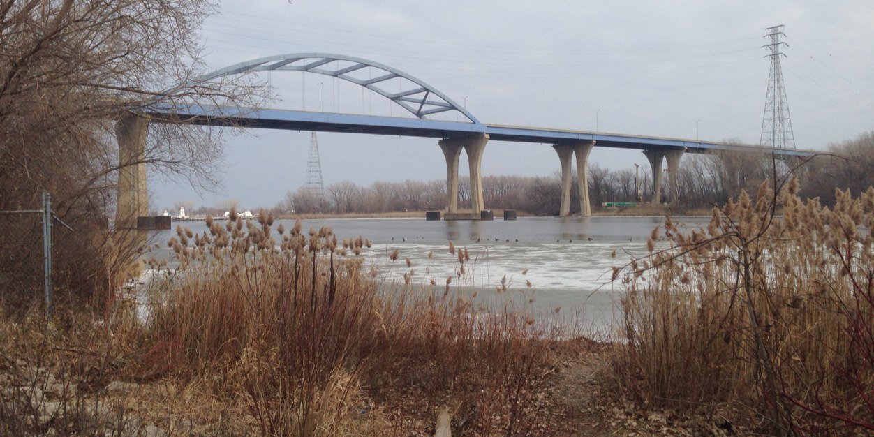 LeoFrigoBridge's profile banner image
