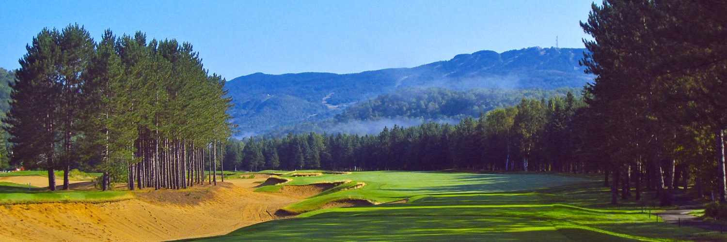 cderaaf's profile banner image