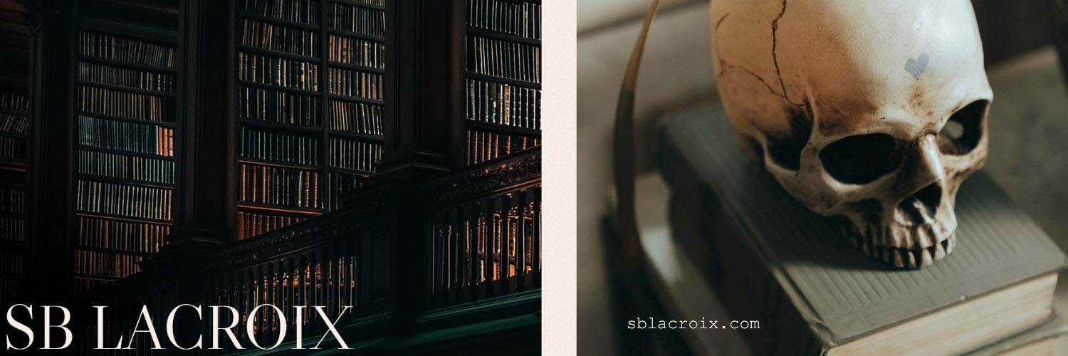 SBLacroix's profile banner image