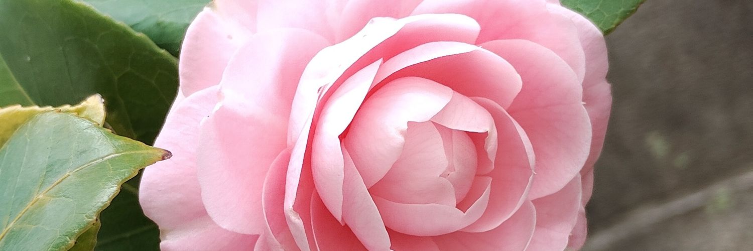 saru68ai's profile banner image
