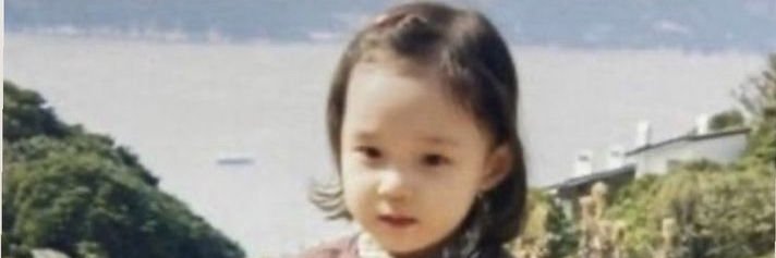 tok o (❖,❖) banner