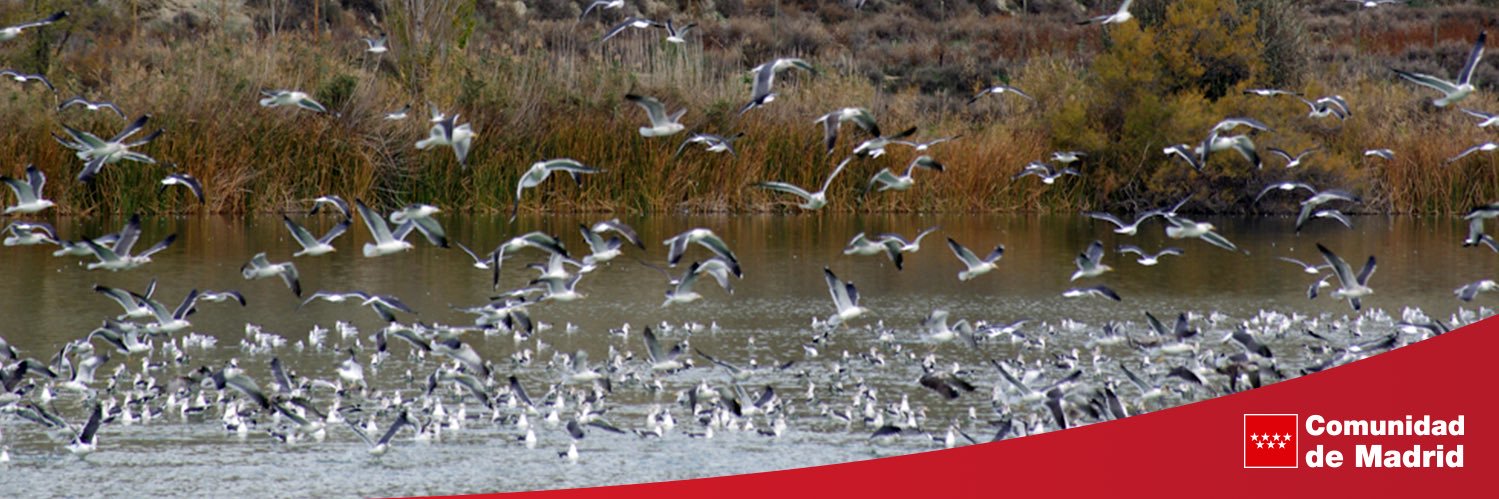 Medio Ambiente | Comunidad de Madrid banner