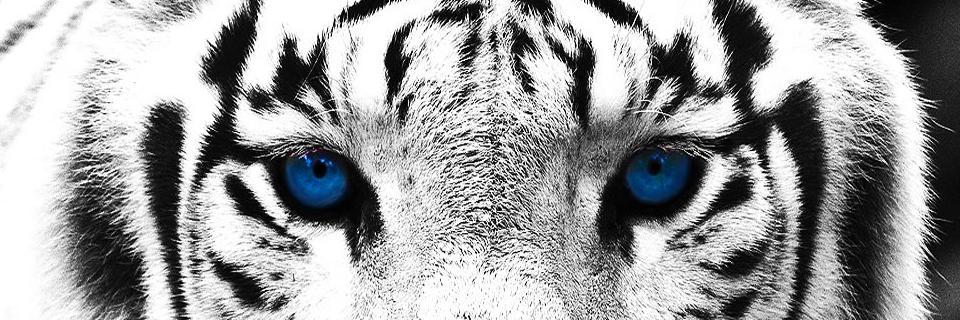 I_HearMe_I's profile banner image