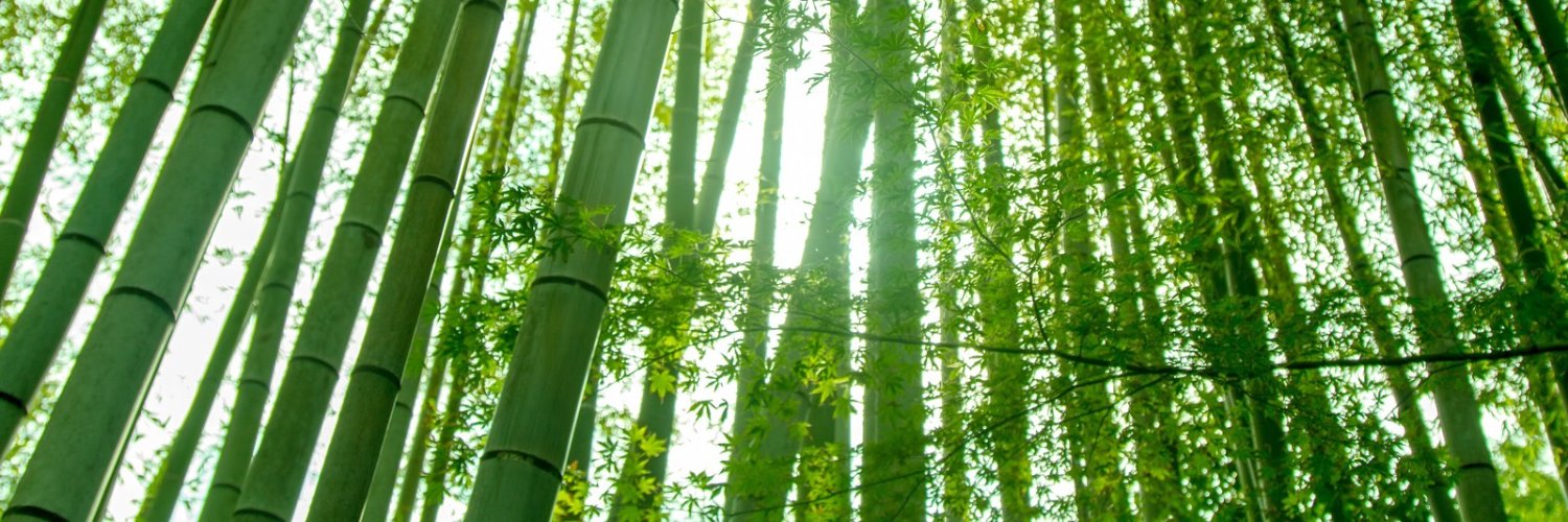 buddha_is_it's profile banner image