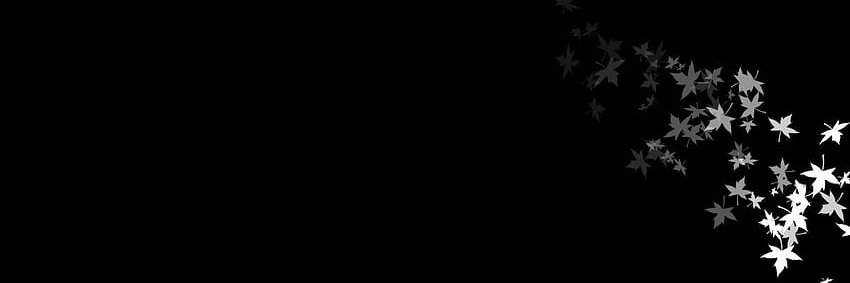 Max ⛓️ banner