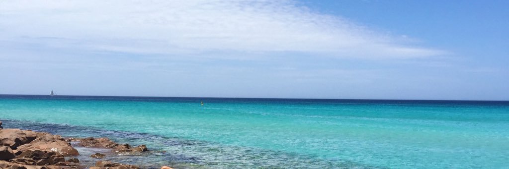 amanda_bisk's profile banner image