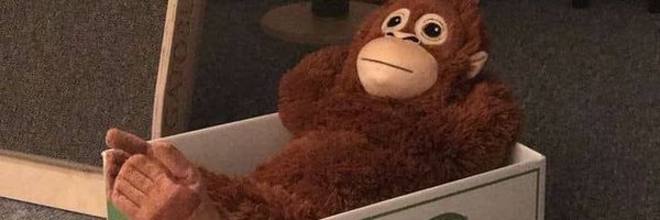 mylove4th Profile Banner