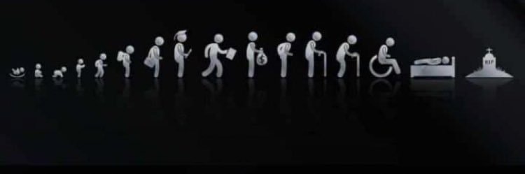 IamEternal🐦‍🔥 banner