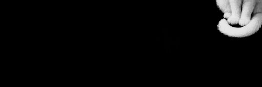 cosmin banner
