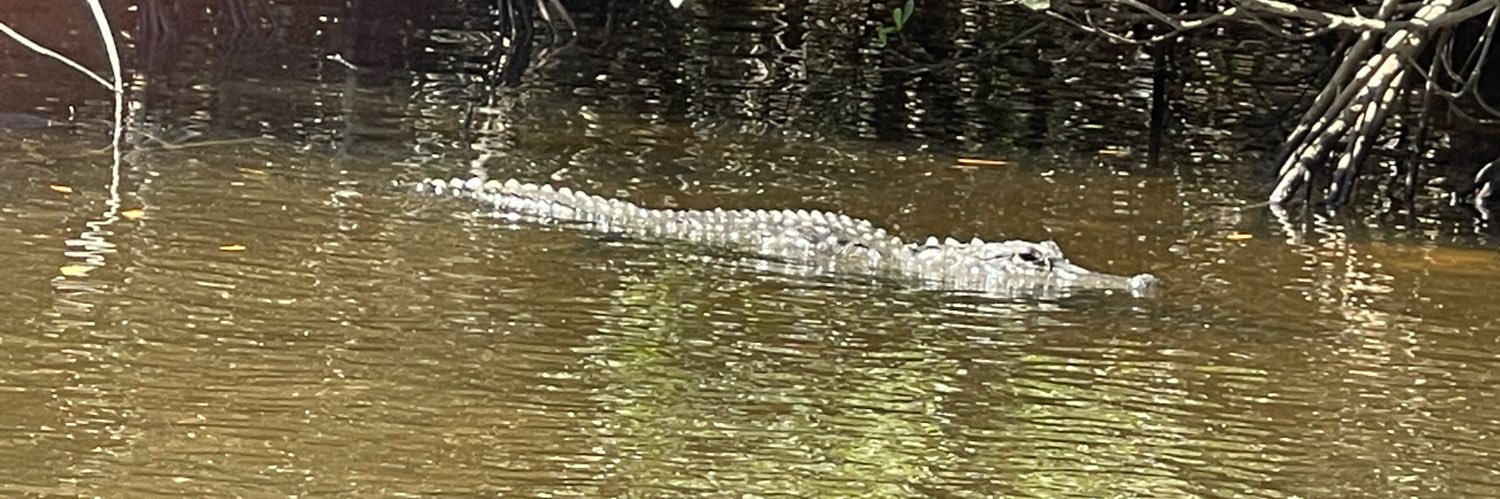 Marilyn Gross banner