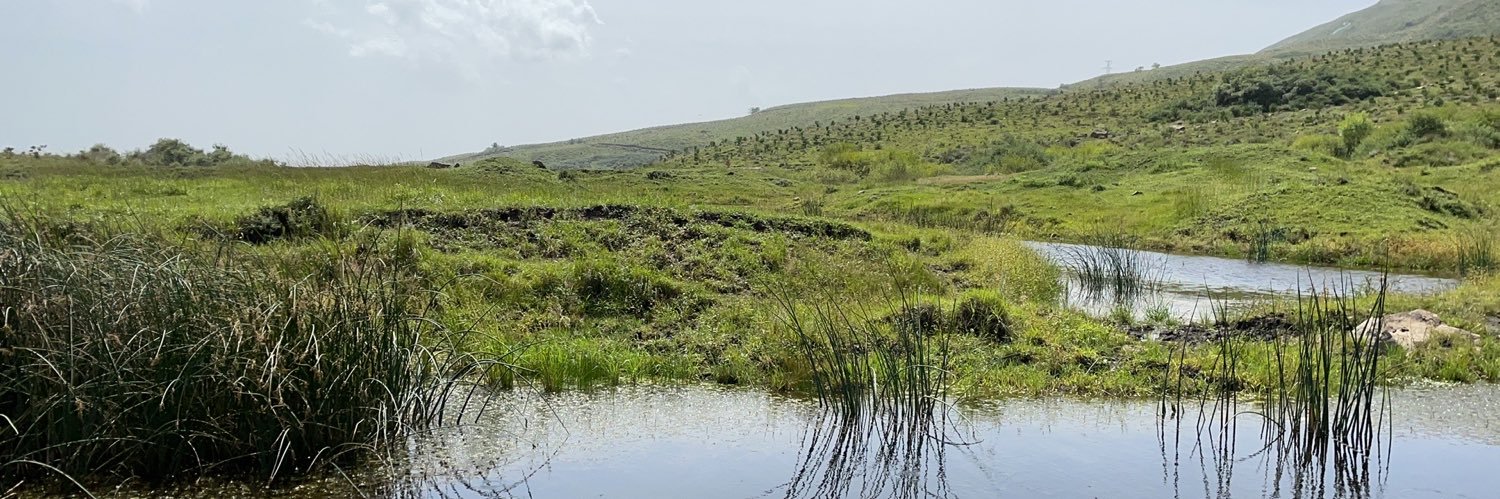 iMerl Network banner