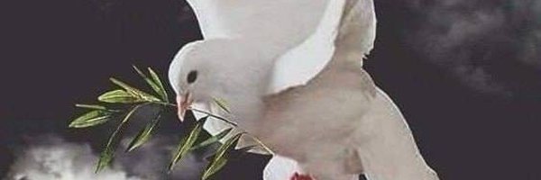 Helene123Helene Profile Banner