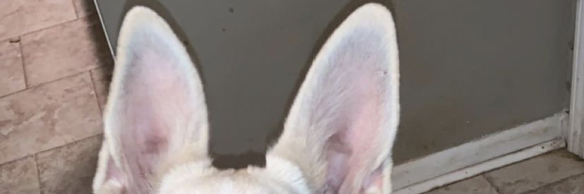 jsbeavers19's profile banner image