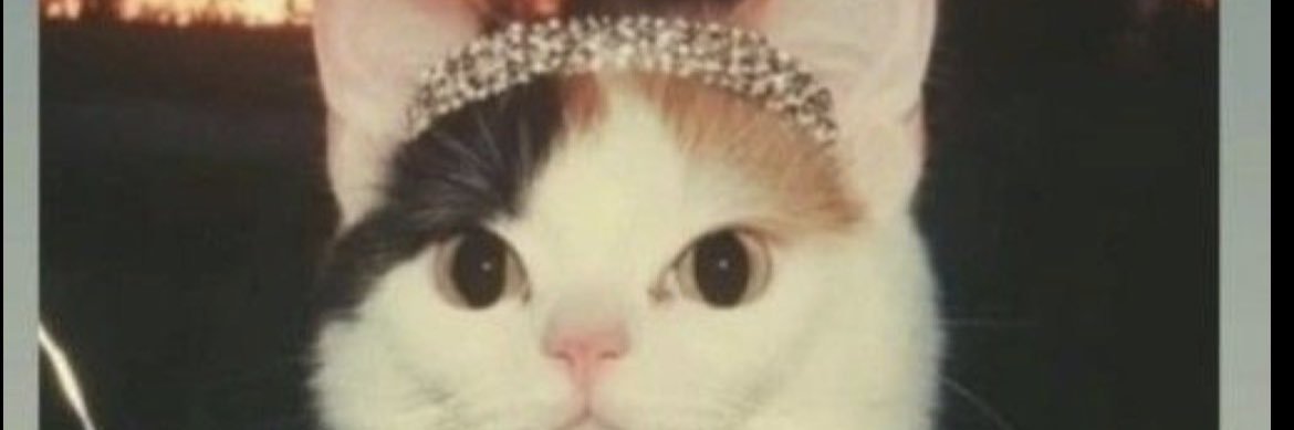 lanavarrex's profile banner image