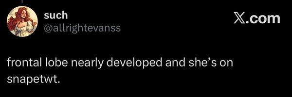 lulunvik Profile Banner