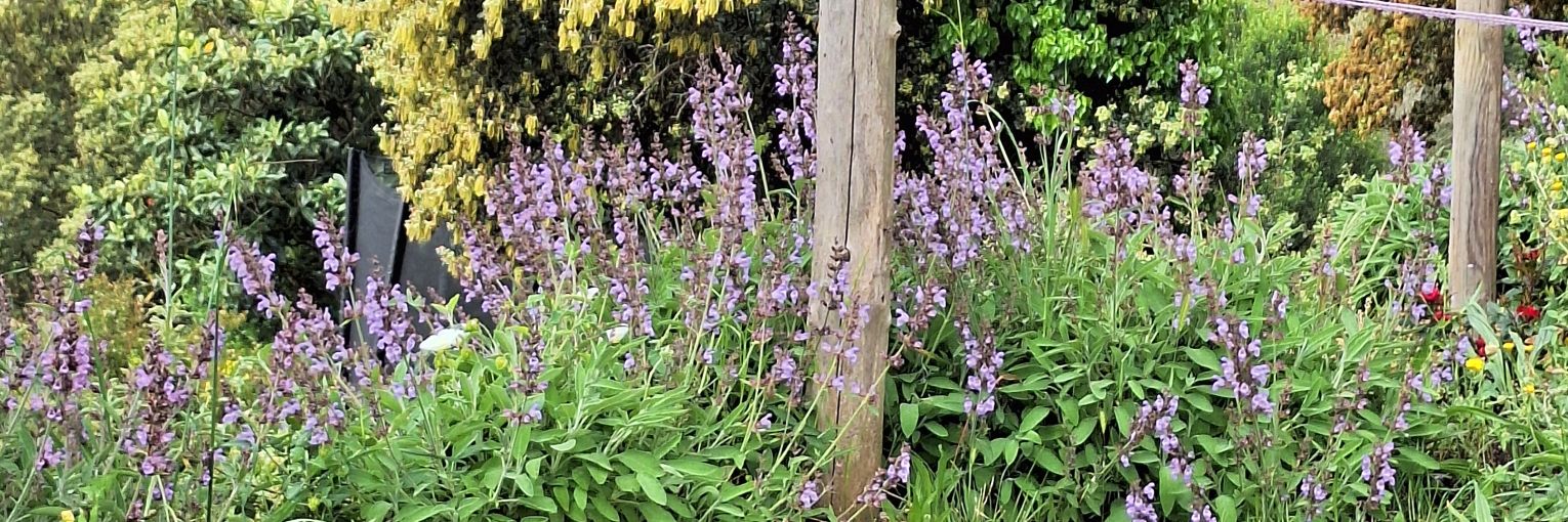 Yun Vidal Coll banner