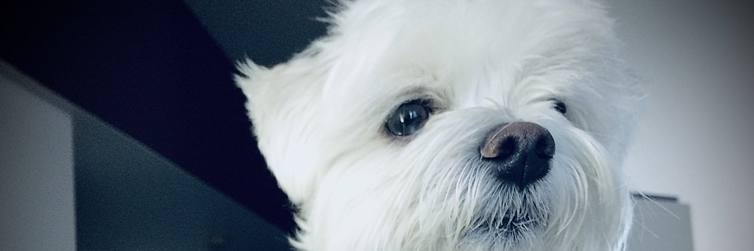CarJiGo22's profile banner image