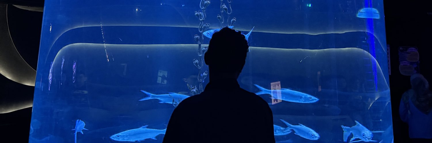 ryantosirait's profile banner image