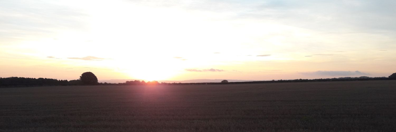 StarkieMark's profile banner image