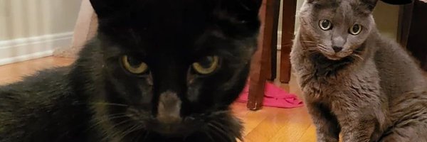 downwithOPC Profile Banner