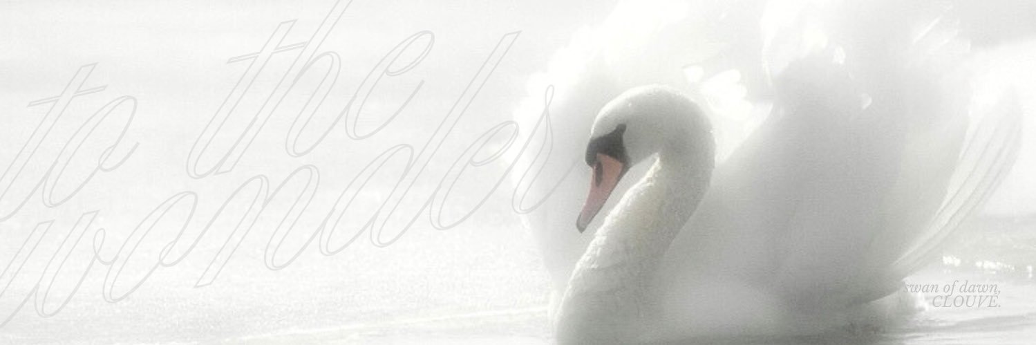 🦢 banner