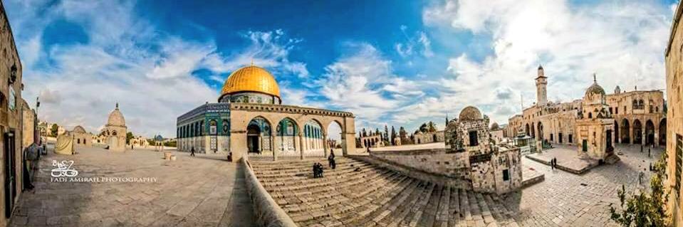 mahmoudmamdoh's profile banner image