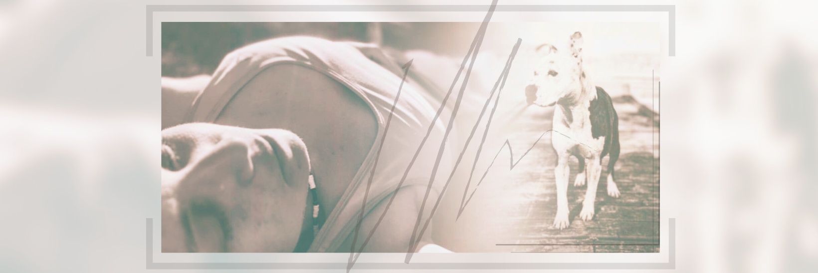 Liillii90's profile banner image