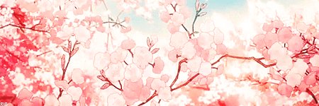 KingyoR6's profile banner image