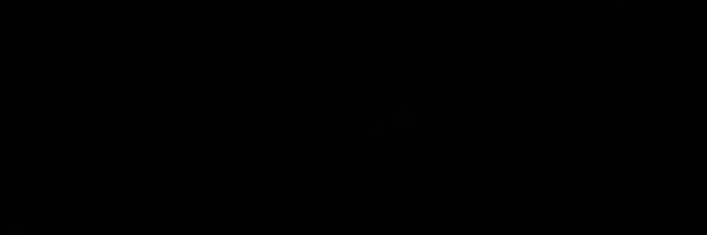 Caleb Leonard banner