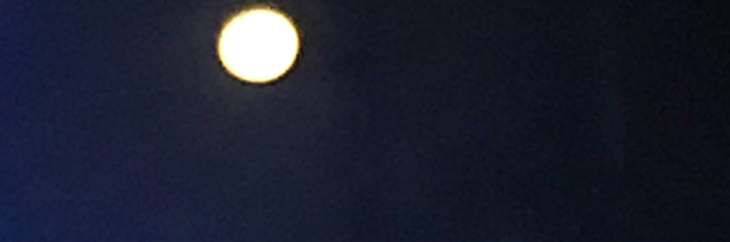 olmar73's profile banner image