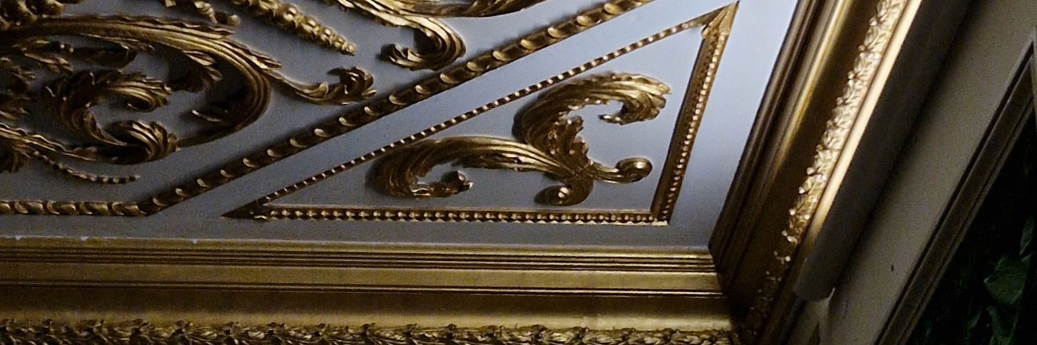 paynocupcake's profile banner image