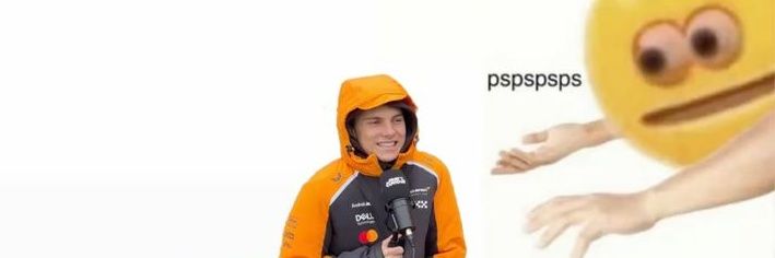 Natt ⁸¹ | OSCAR MONTH 🗣️ .ᐟ banner