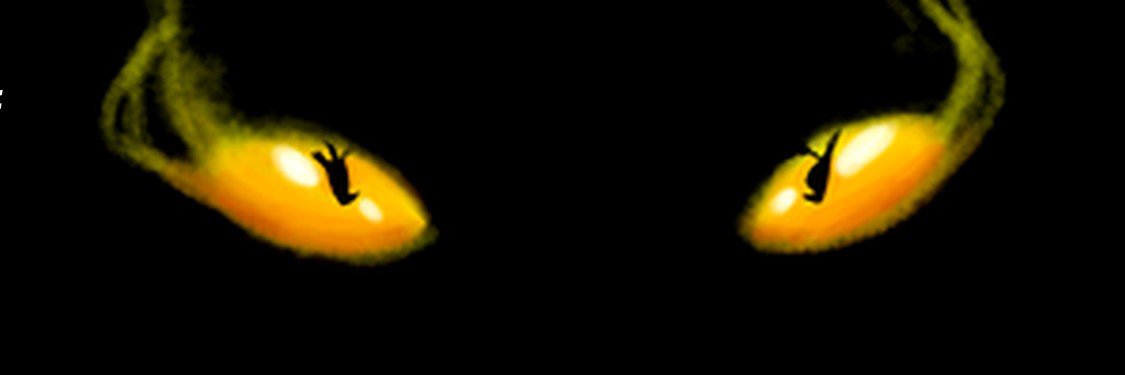 wayanfell's profile banner image