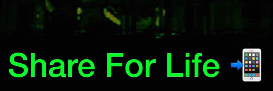 TheSFLNetwork's profile banner image