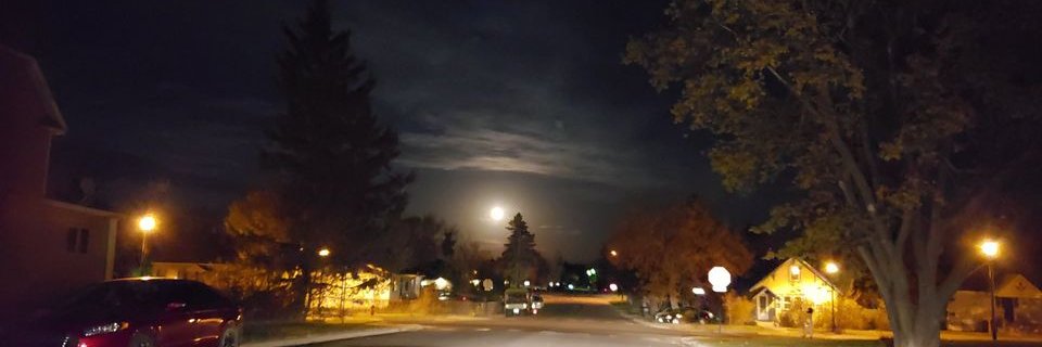 Wolvenar's profile banner image