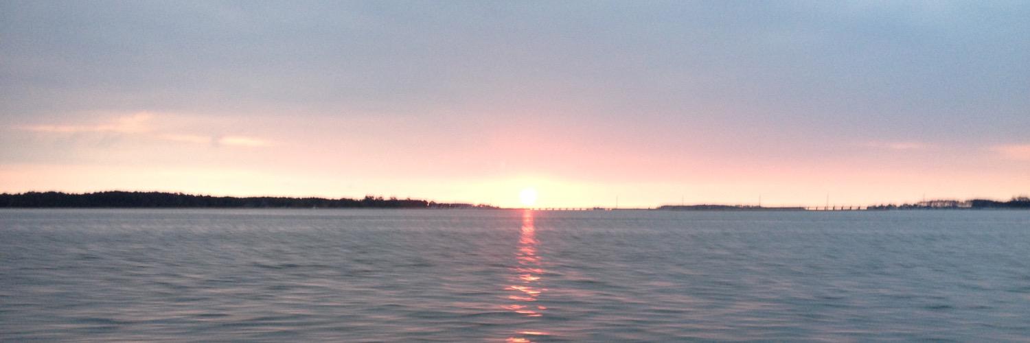 fishfndr's profile banner image