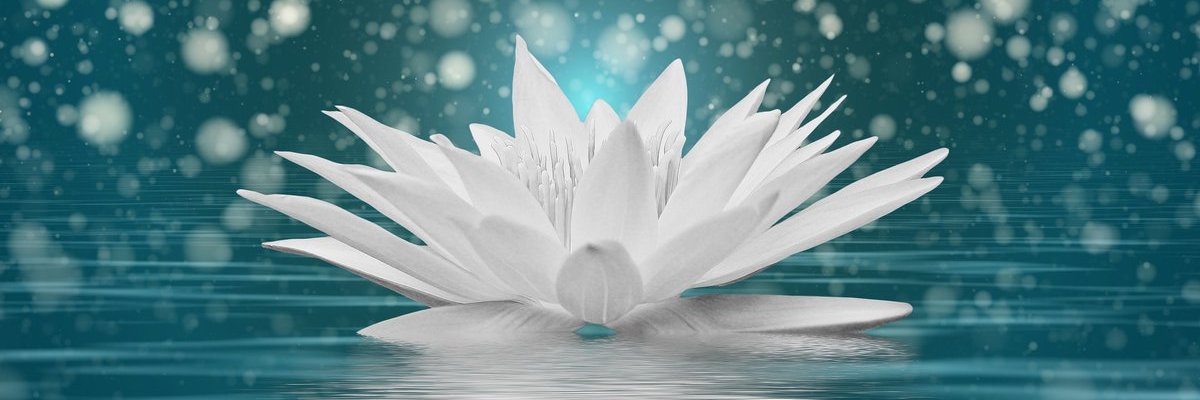 Sheena E. Gunia, Ed.S., NCSP banner