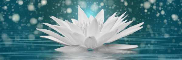 Ms_Emberton Profile Banner