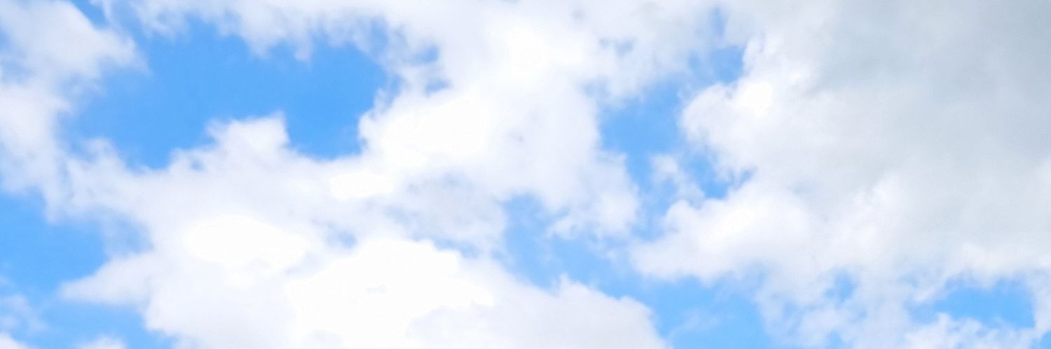 PeriniFlorencia's profile banner image